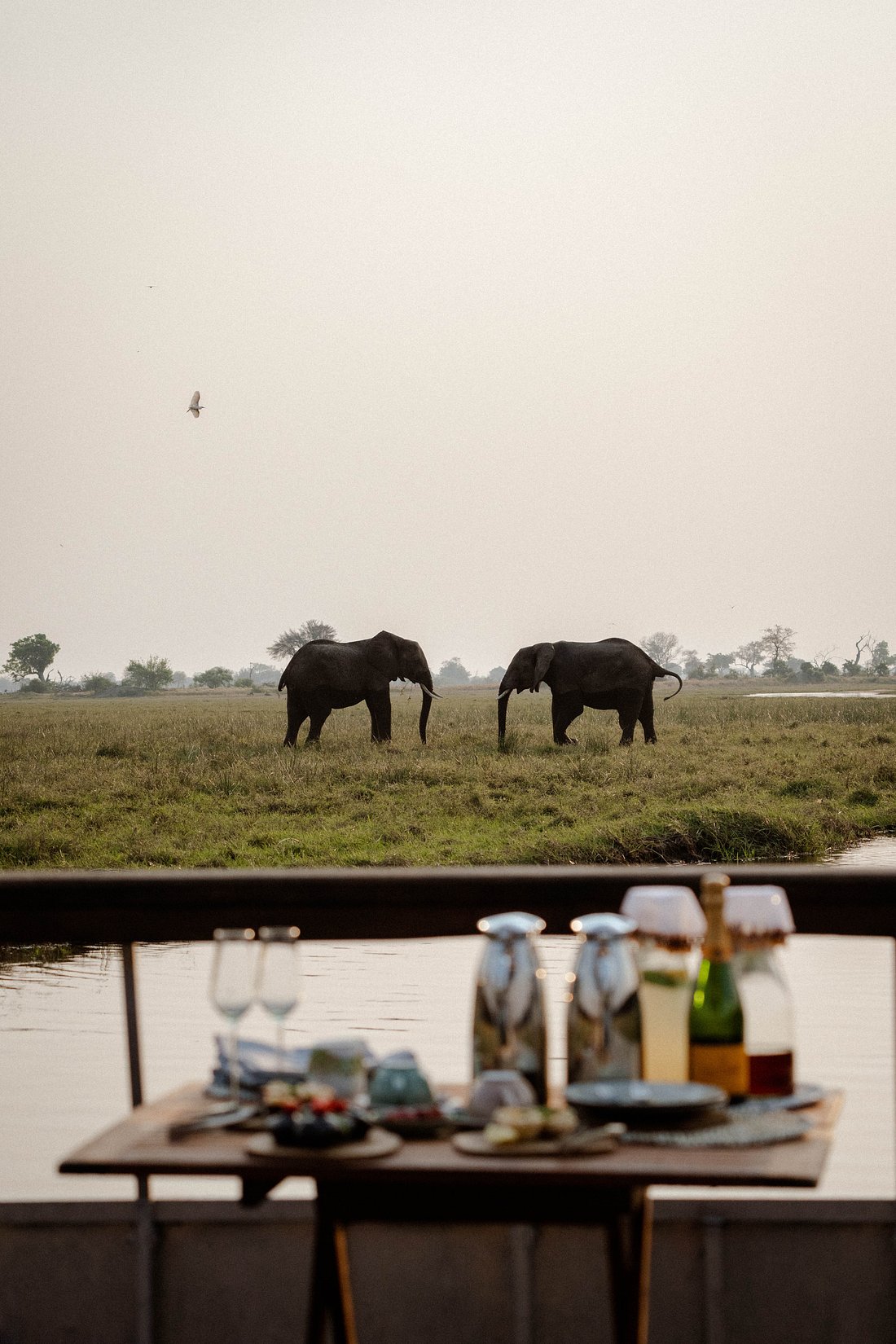 Image of Eagle Island Lodge, A Belmond Safari, Botswana