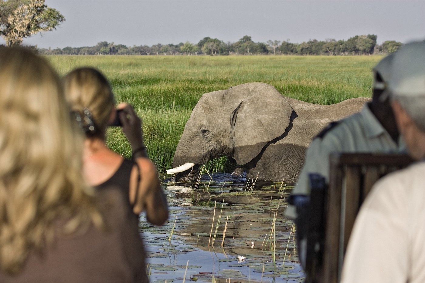 Eagle Island Lodge, A Belmond Safari, Botswana view 6