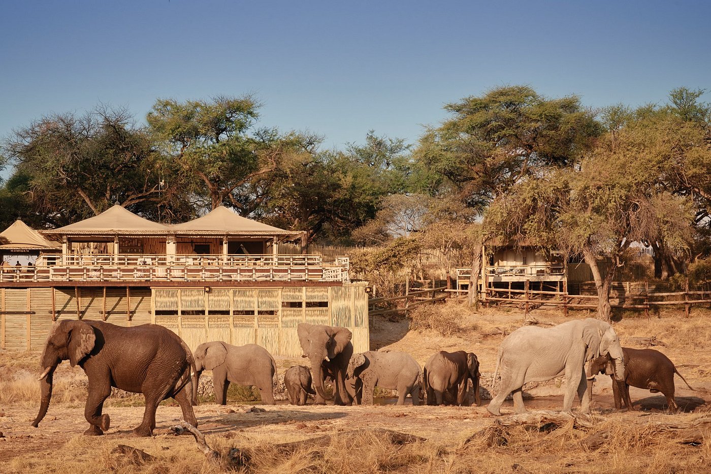 Savute Elephant Lodge, A Belmond Safari, Botswana view 2