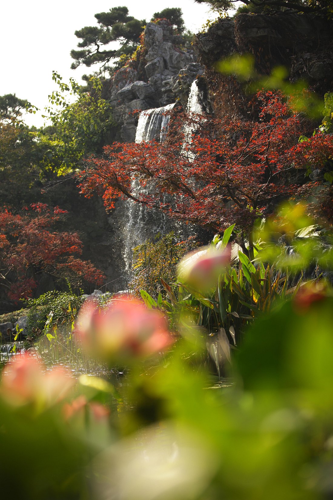 Four Seasons Hotel Hangzhou at West Lake view 6