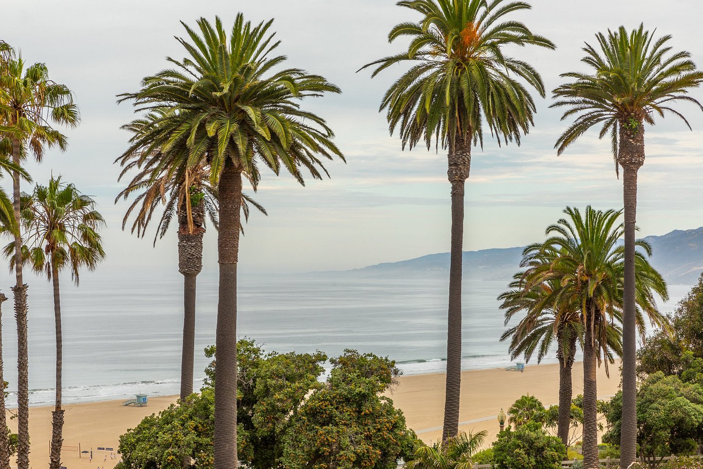 Oceana Santa Monica, LXR Hotels & Resorts