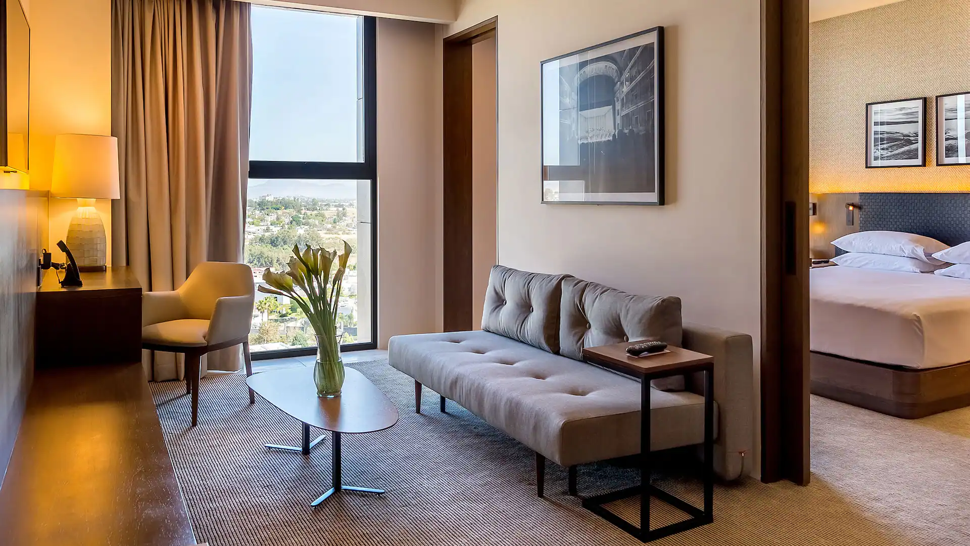 Hyatt Regency Andares Guadalajara view 4