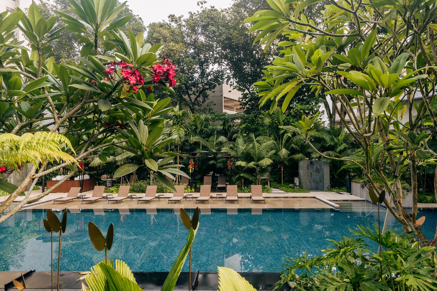 Grand Hyatt Singapore view 5