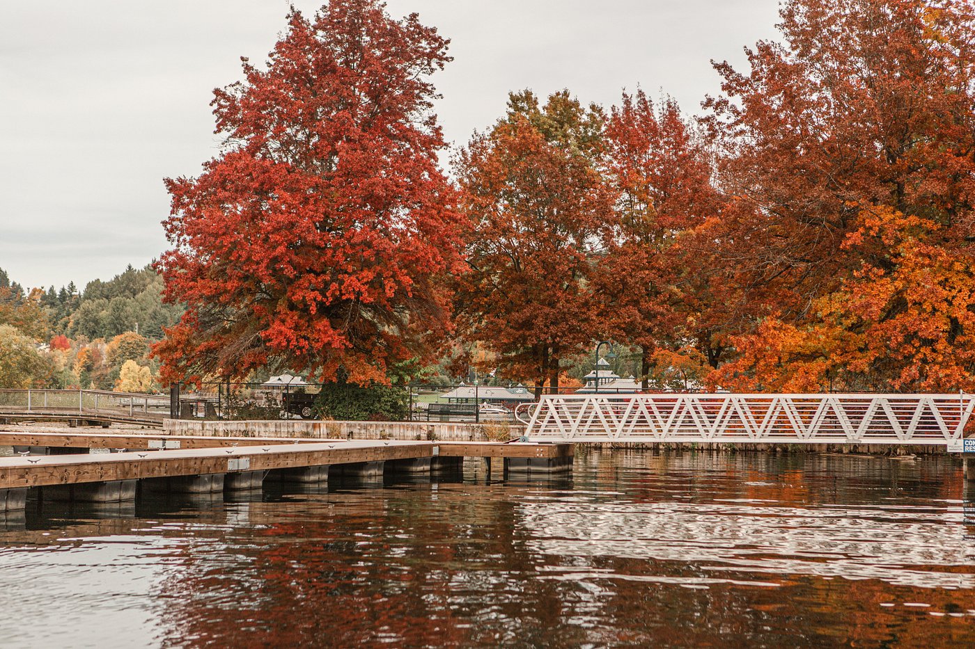 Hyatt Regency Lake Washington at Seattle's Southport view 5