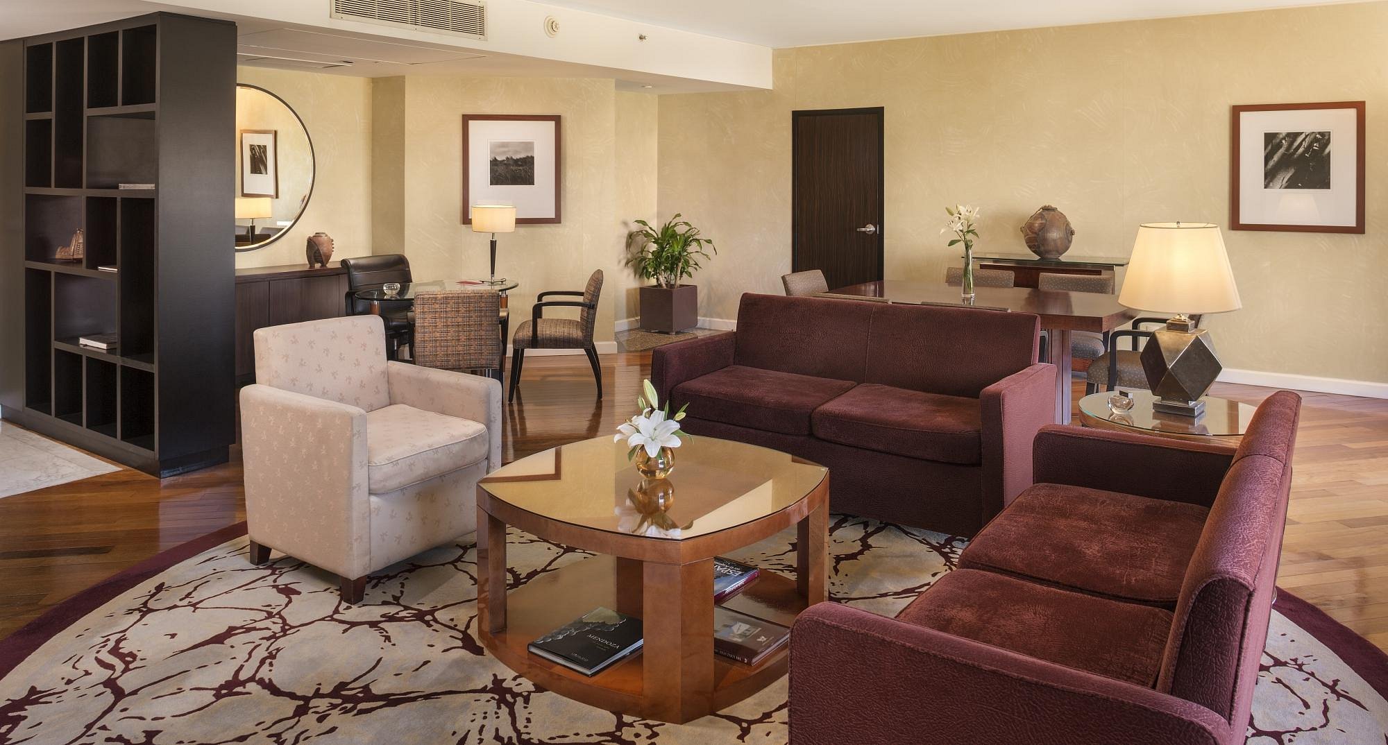 Park Hyatt Mendoza view 4