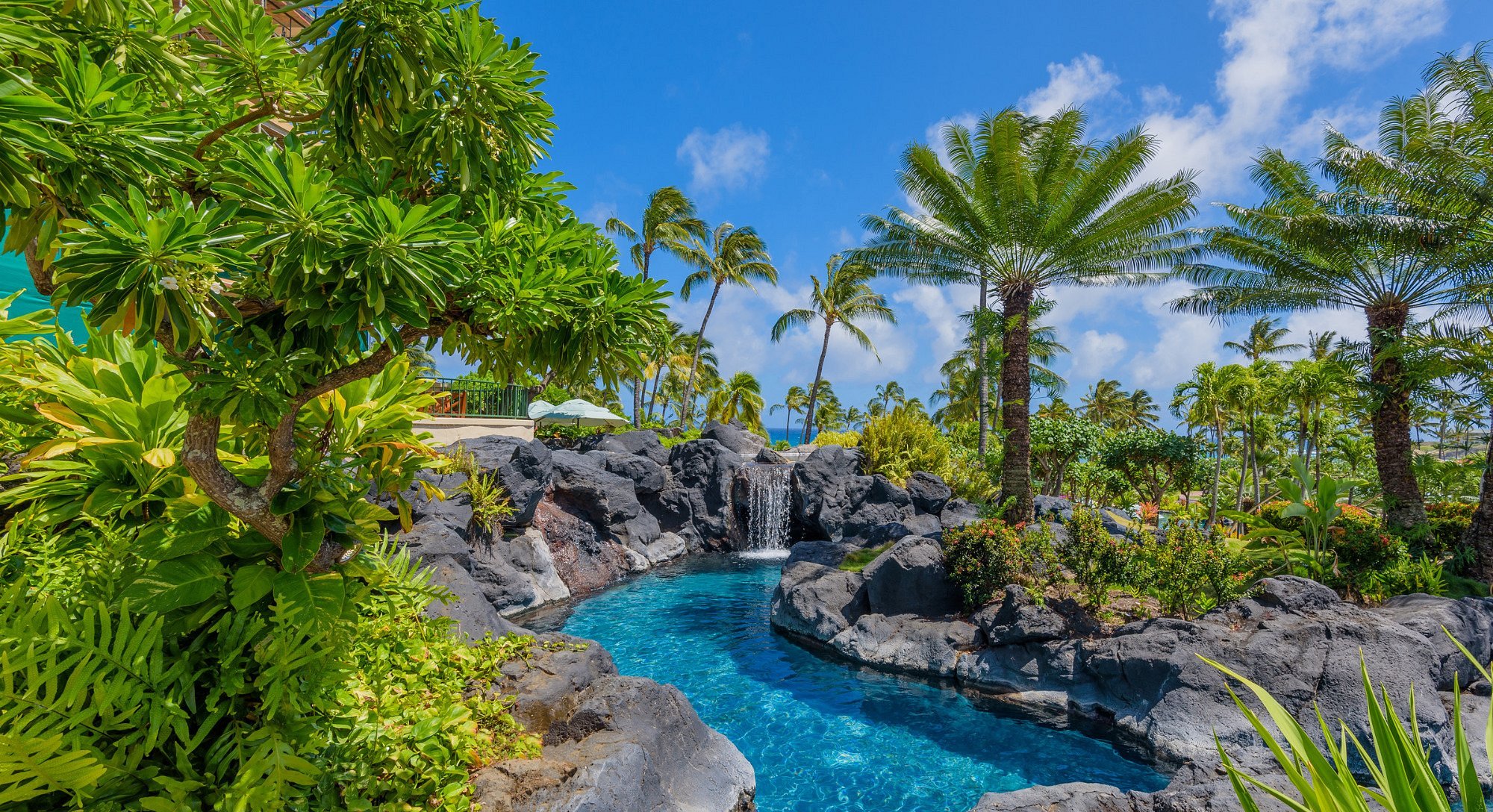 Grand Hyatt Kauai Resort and Spa view 5