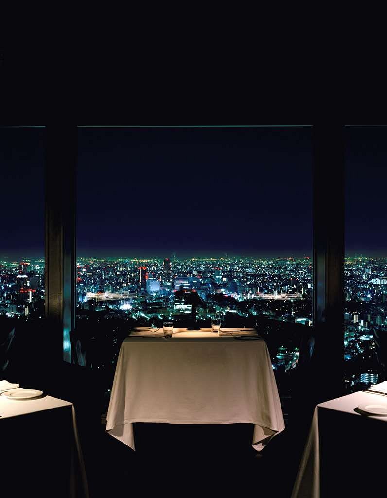 Park Hyatt Tokyo view 6