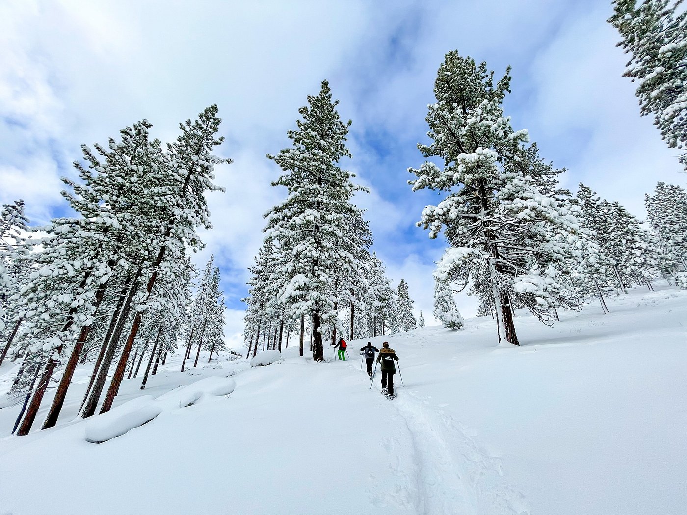 Hyatt Regency Lake Tahoe Resort, Spa & Casino view 6