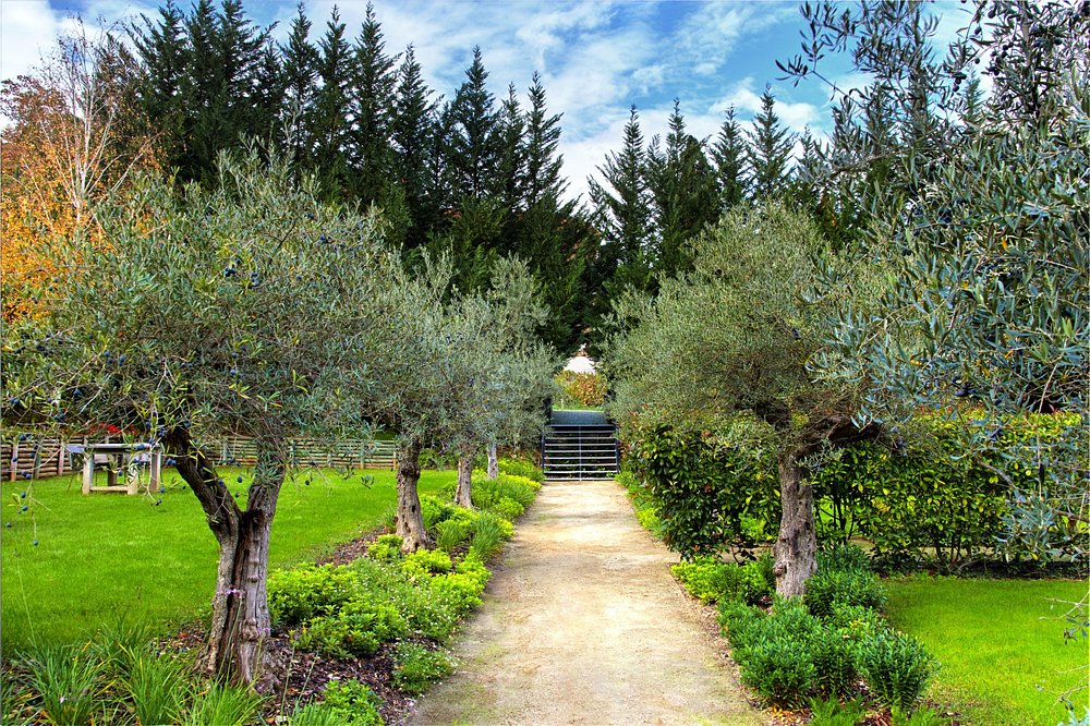 Six Senses Douro Valley view 6