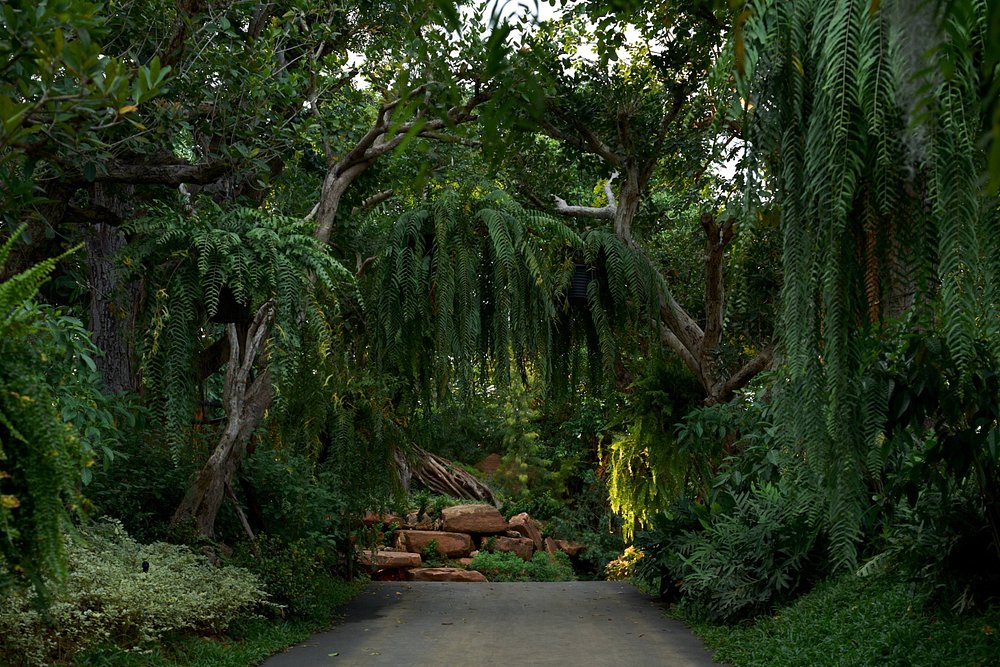 InterContinental Khao Yai Resort view 6