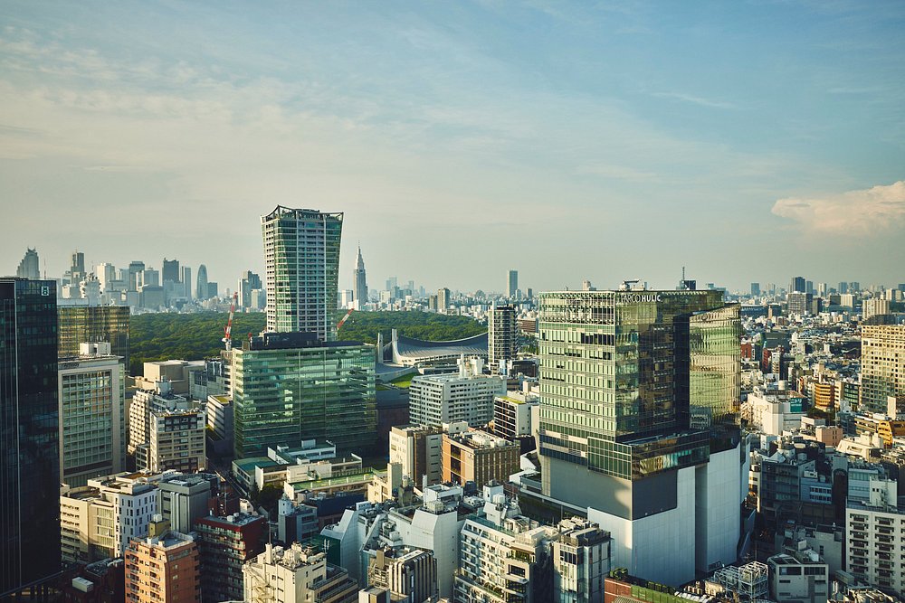 Hotel Indigo Tokyo Shibuya view 5