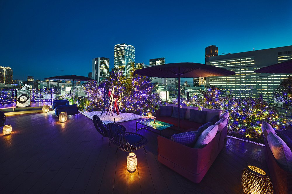 Hotel Indigo Tokyo Shibuya view 6