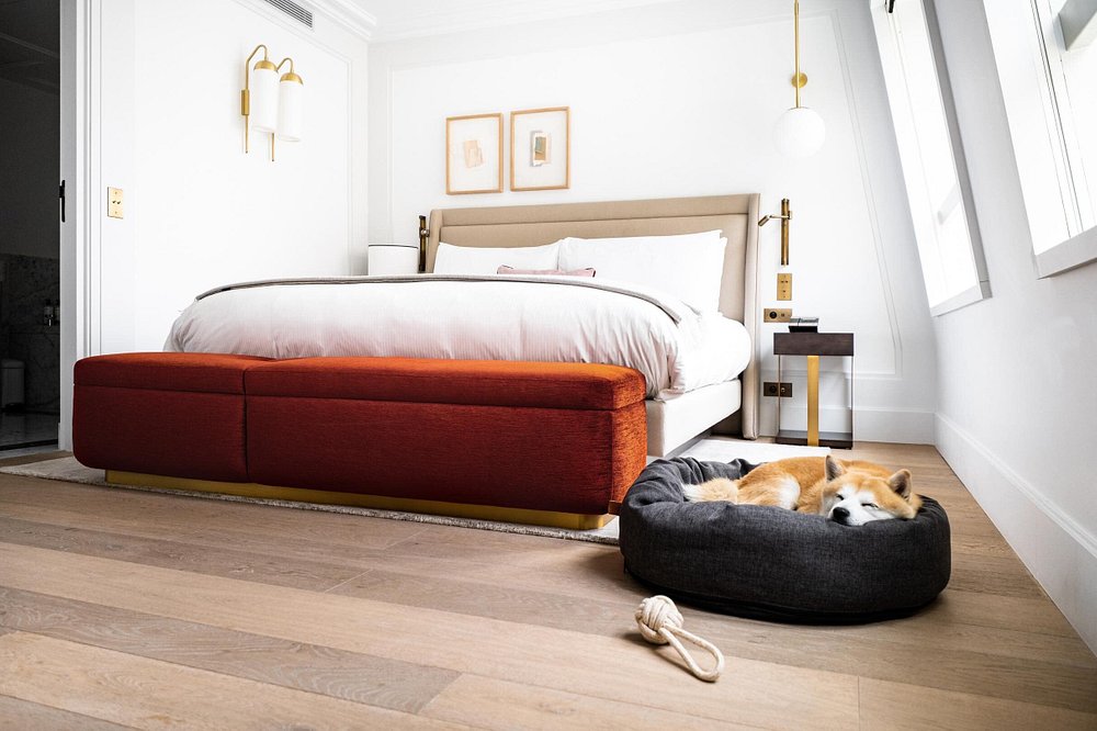 Kimpton St Honore Paris  view 3