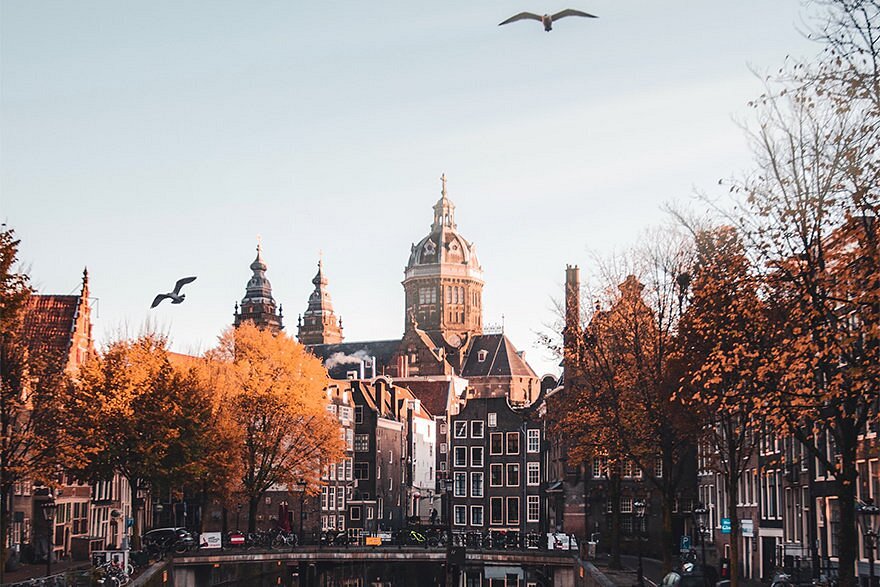 Kimpton de Witt view 5