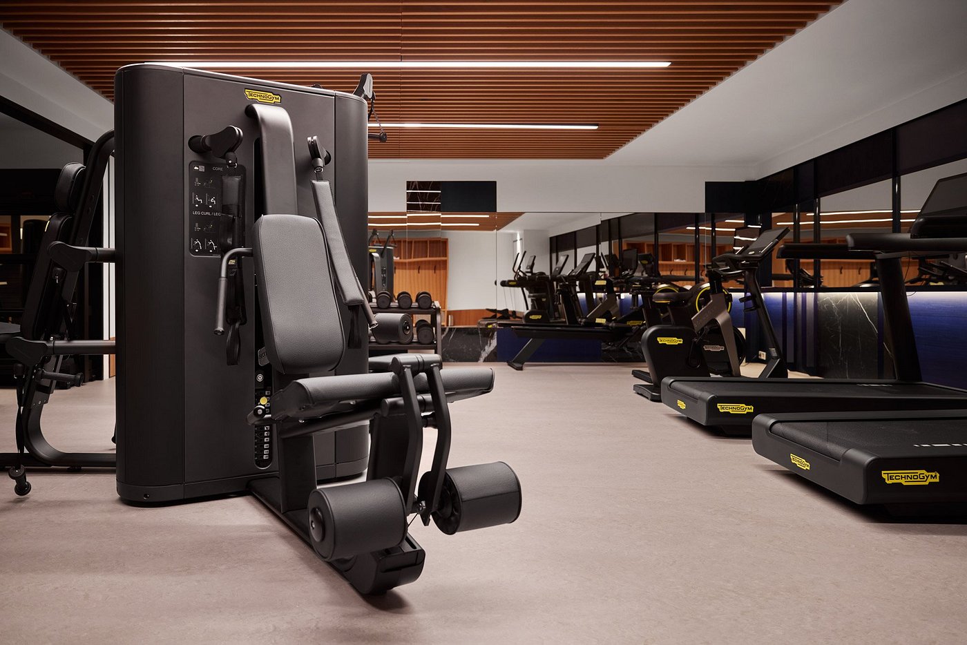 Kimpton Main Frankfurt view 6