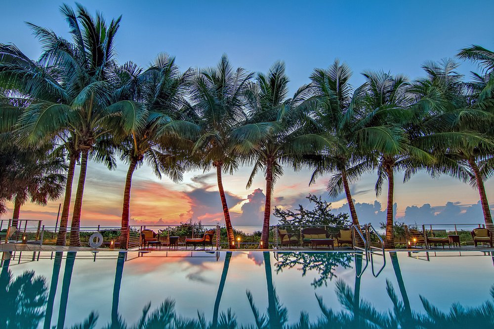 Carillon Miami Wellness Resort view 5