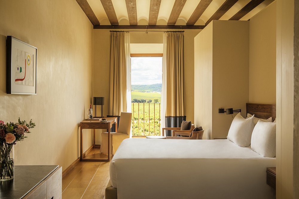 Abadia Retuerta LeDomaine view 3