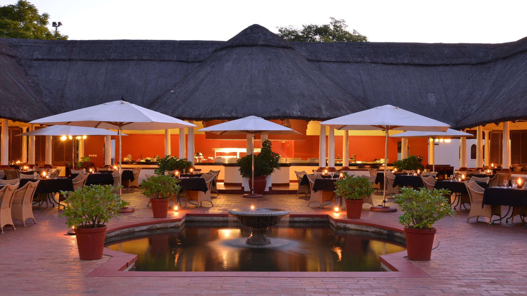Victoria Falls Hotel view 5