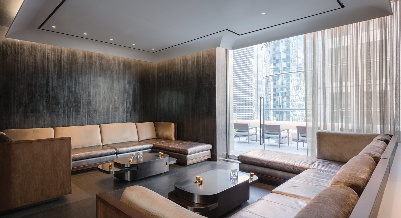 The Knickerbocker view 6