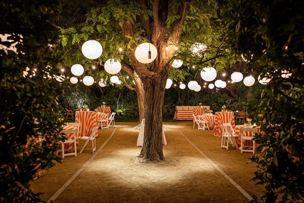 Parker Palm Springs view 6