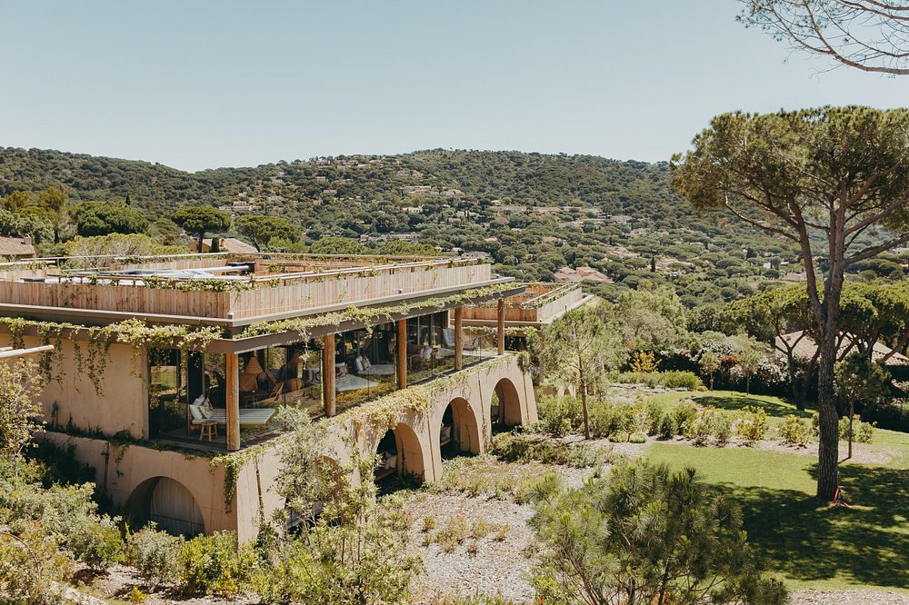 Lily of The Valley view 2