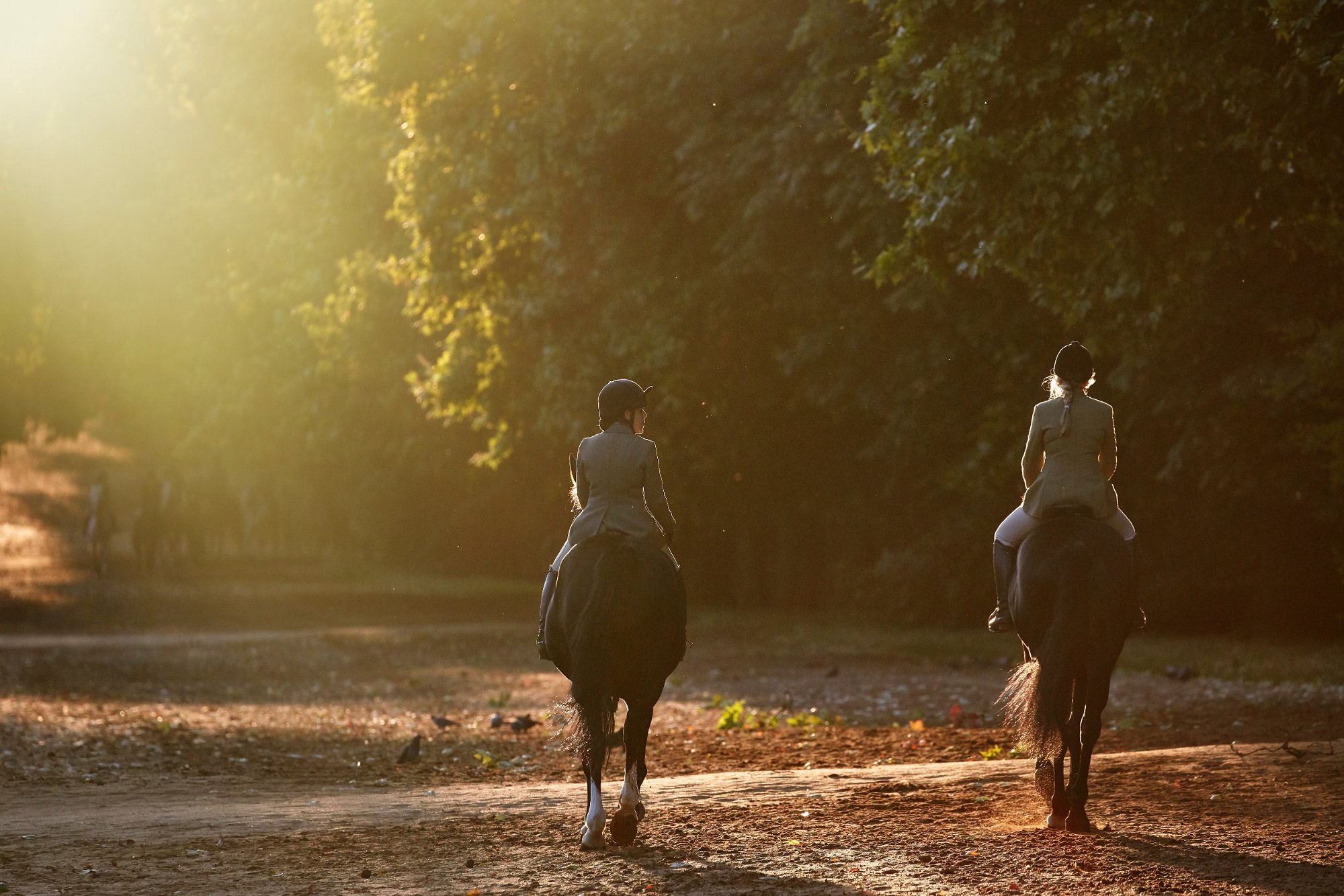 Mandarin Oriental Hyde Park, London view 6