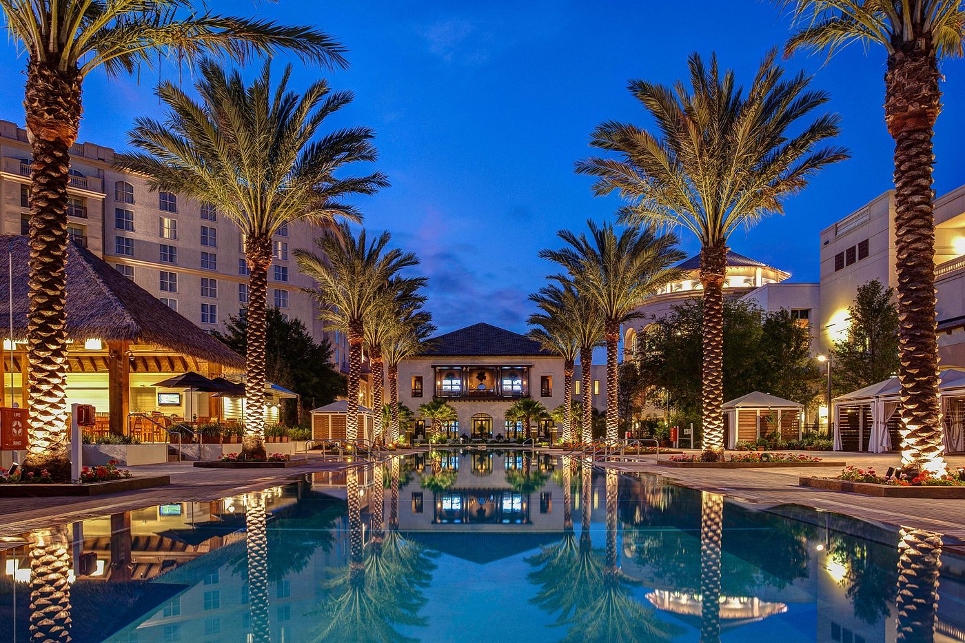 Gaylord Palms Resort & Convention Center view 5