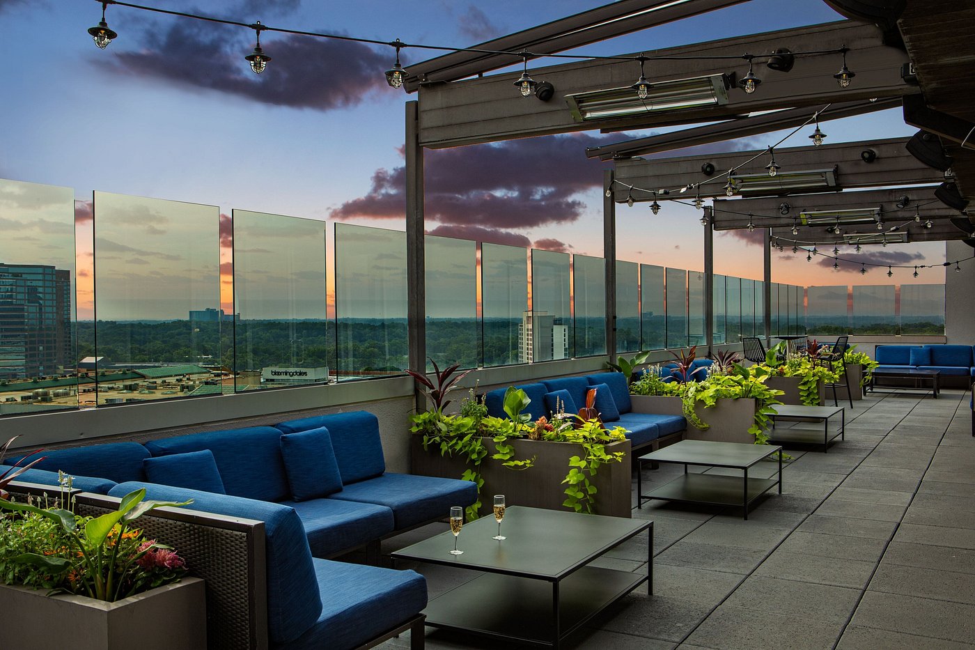 Hotel Colee, Atlanta Buckhead, Autograph Collection view 6