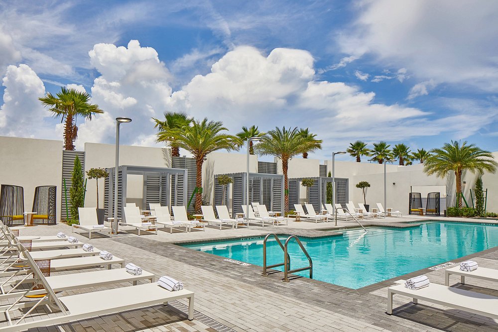 The Daytona, Autograph Collection view 5