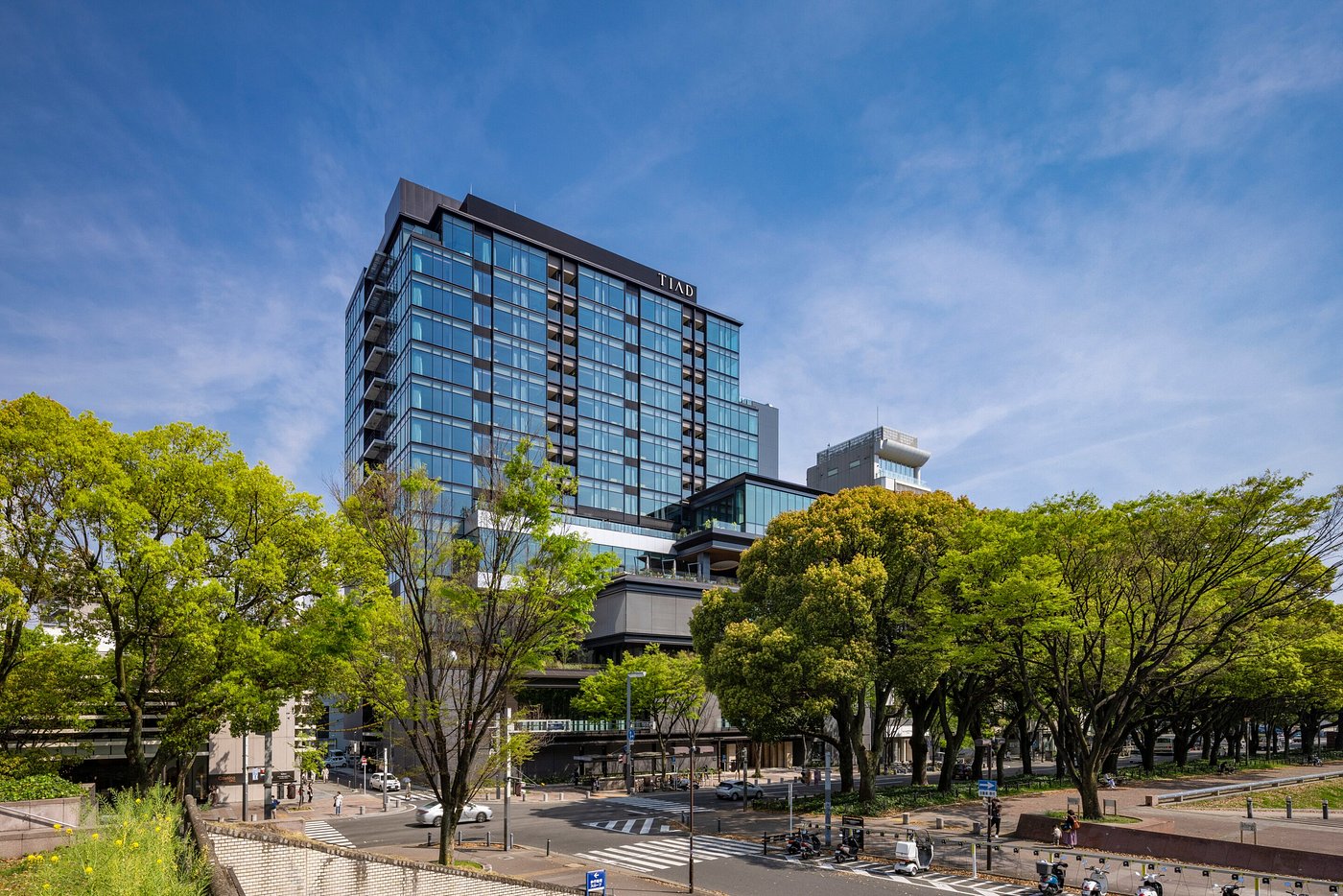 TIAD, Autograph Collection