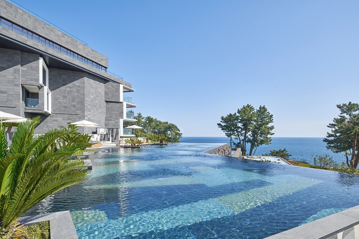 JW Marriott Jeju Resort & Spa view 6