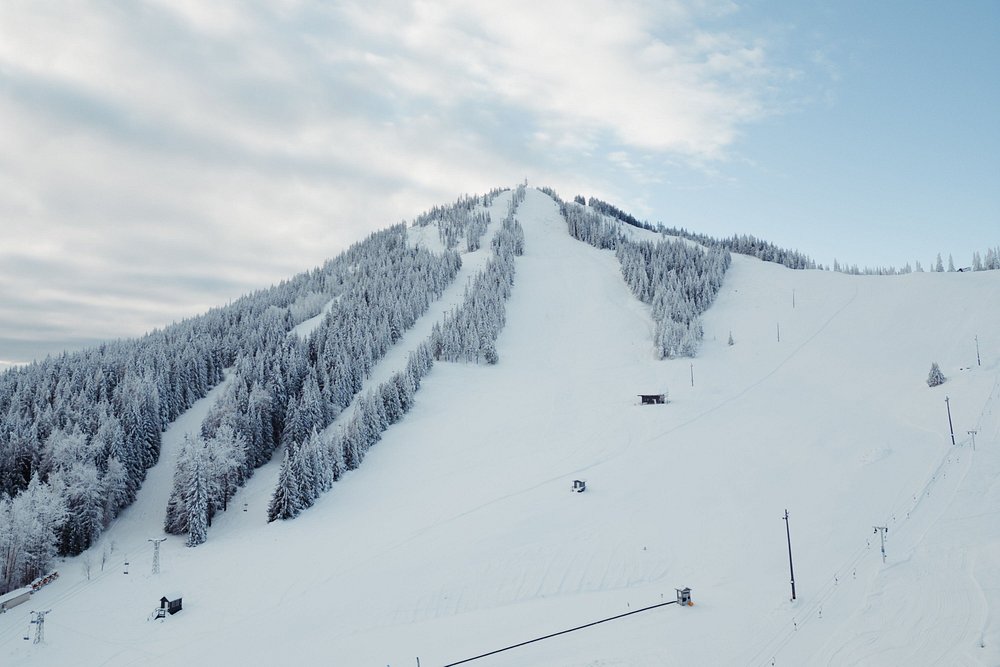 The Josie Hotel, Autograph Collection view 5