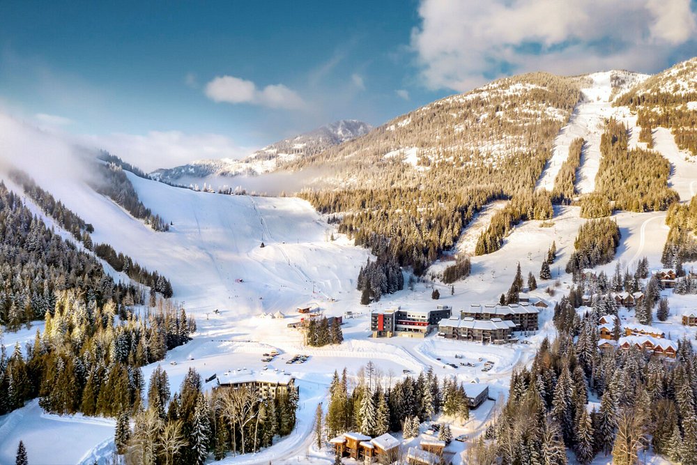 The Josie Hotel, Autograph Collection view 6