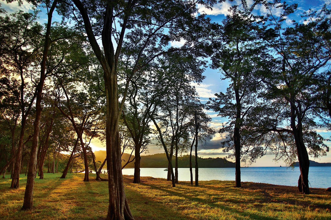 El Mangroove, Autograph Collection view 6