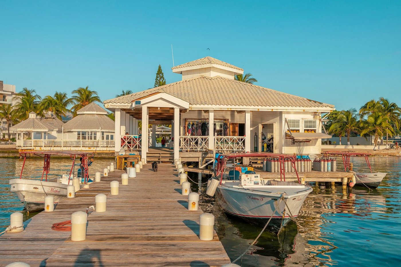 Alaia Belize Autograph Collection view 6