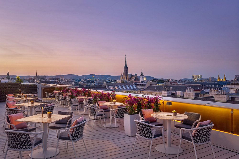 The Ritz-Carlton, Vienna view 6
