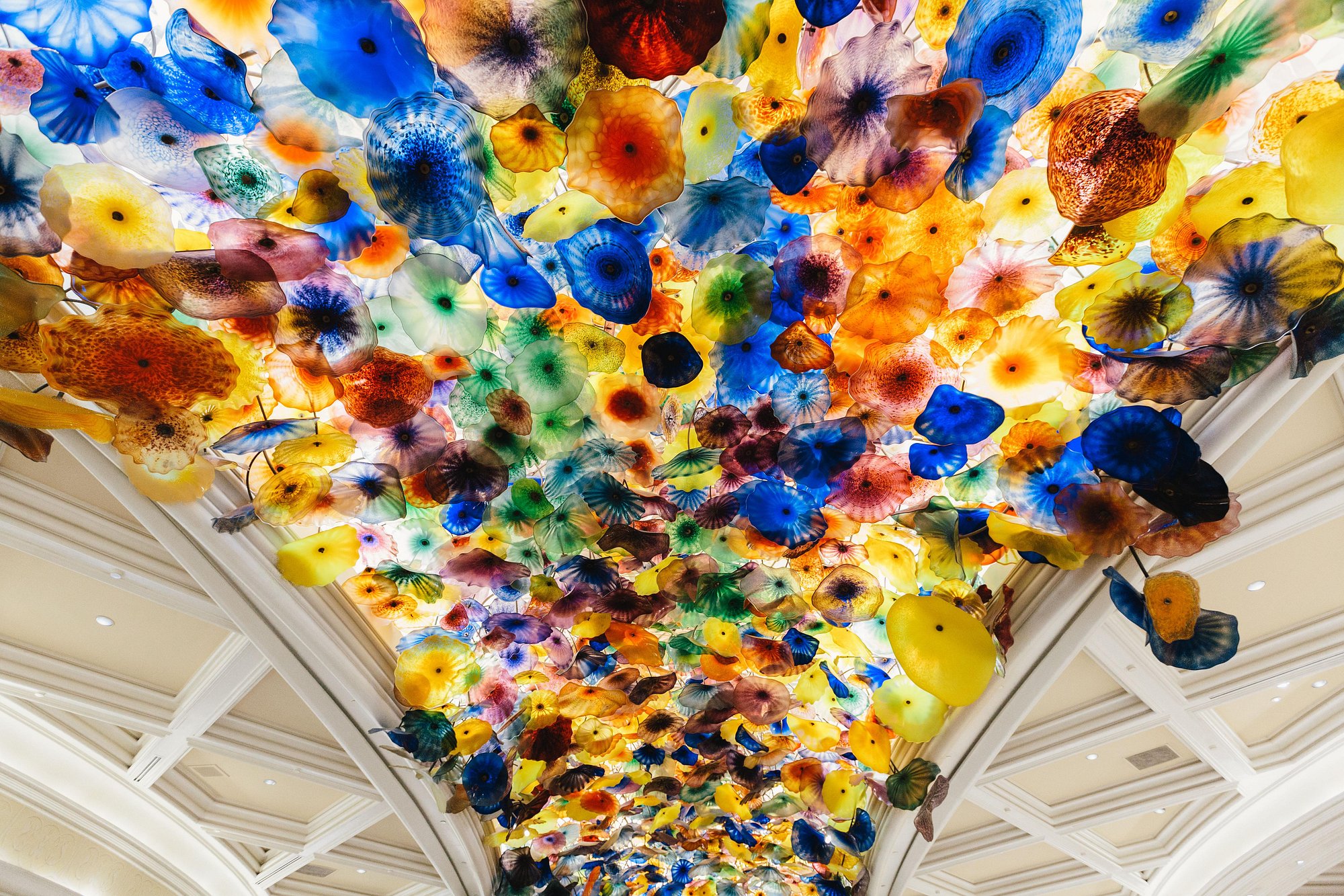 Bellagio, a Luxury Collection Resort & Casino, Las Vegas view 2