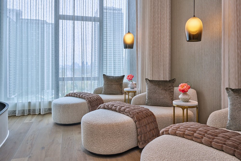 The St. Regis Chicago view 6