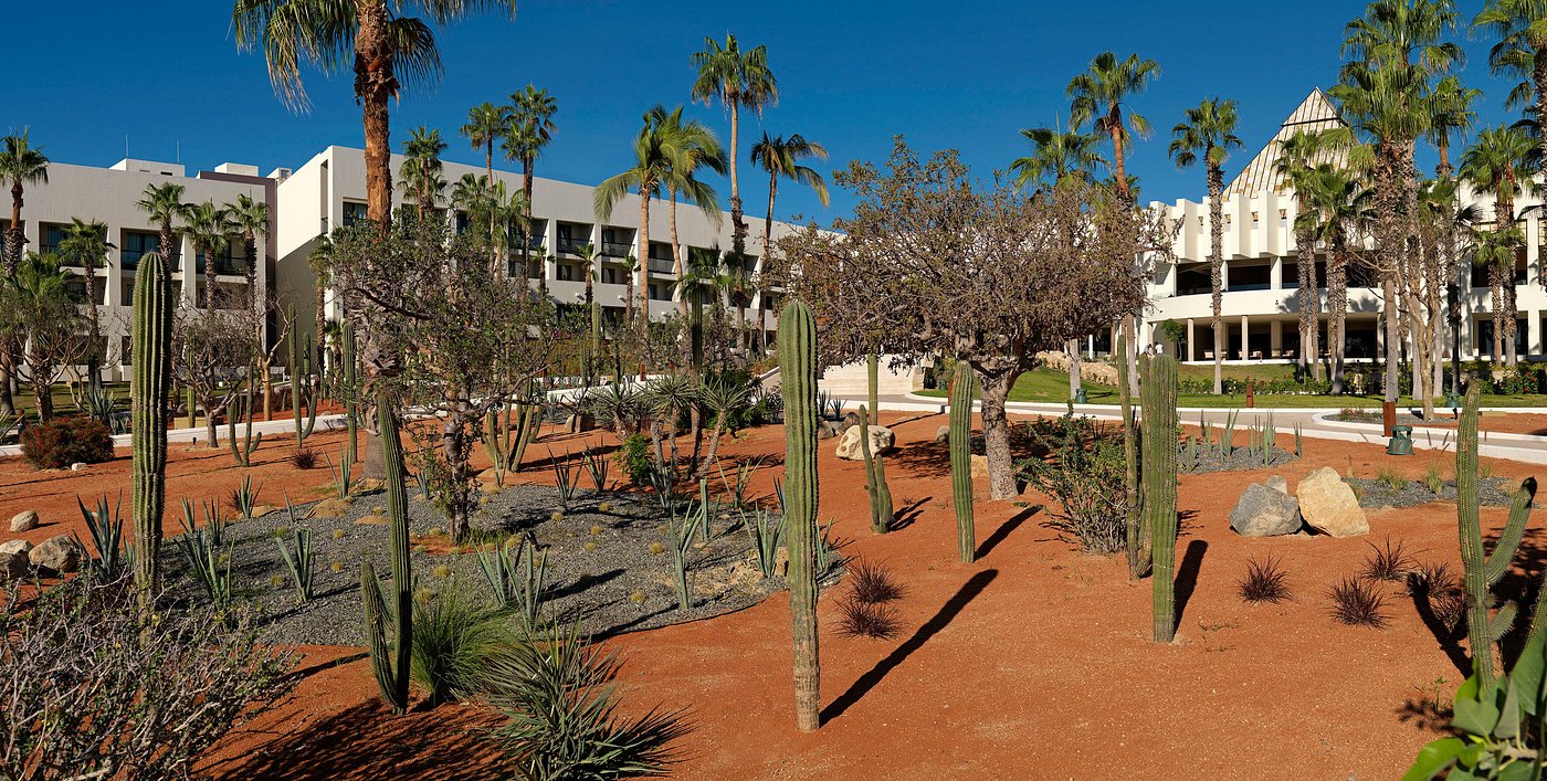 Paradisus Los Cabos view 2