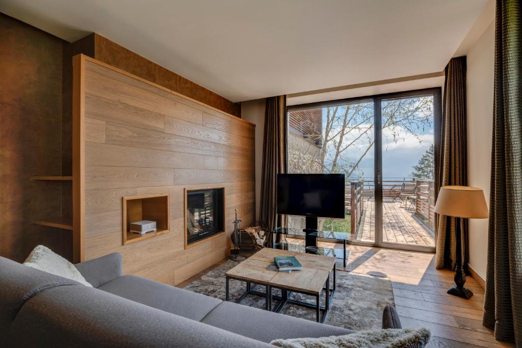 Chateau Des Avenieres view 4