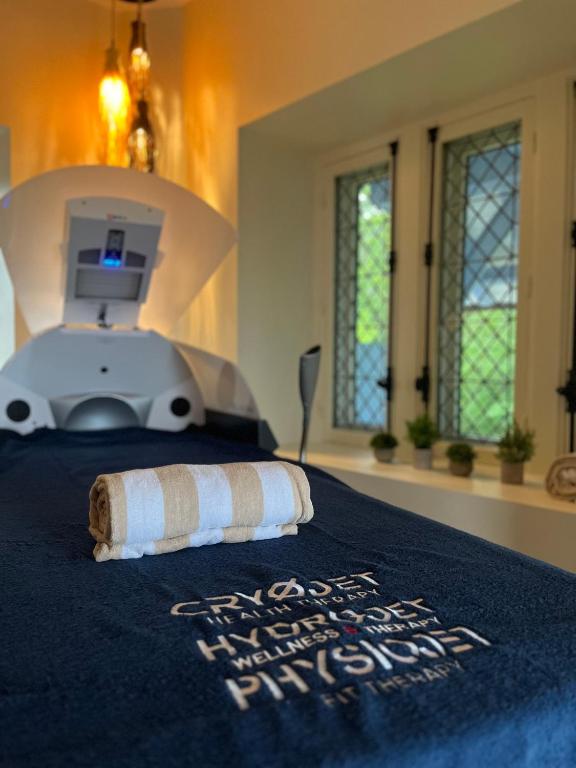 Chateau Des Avenieres view 6