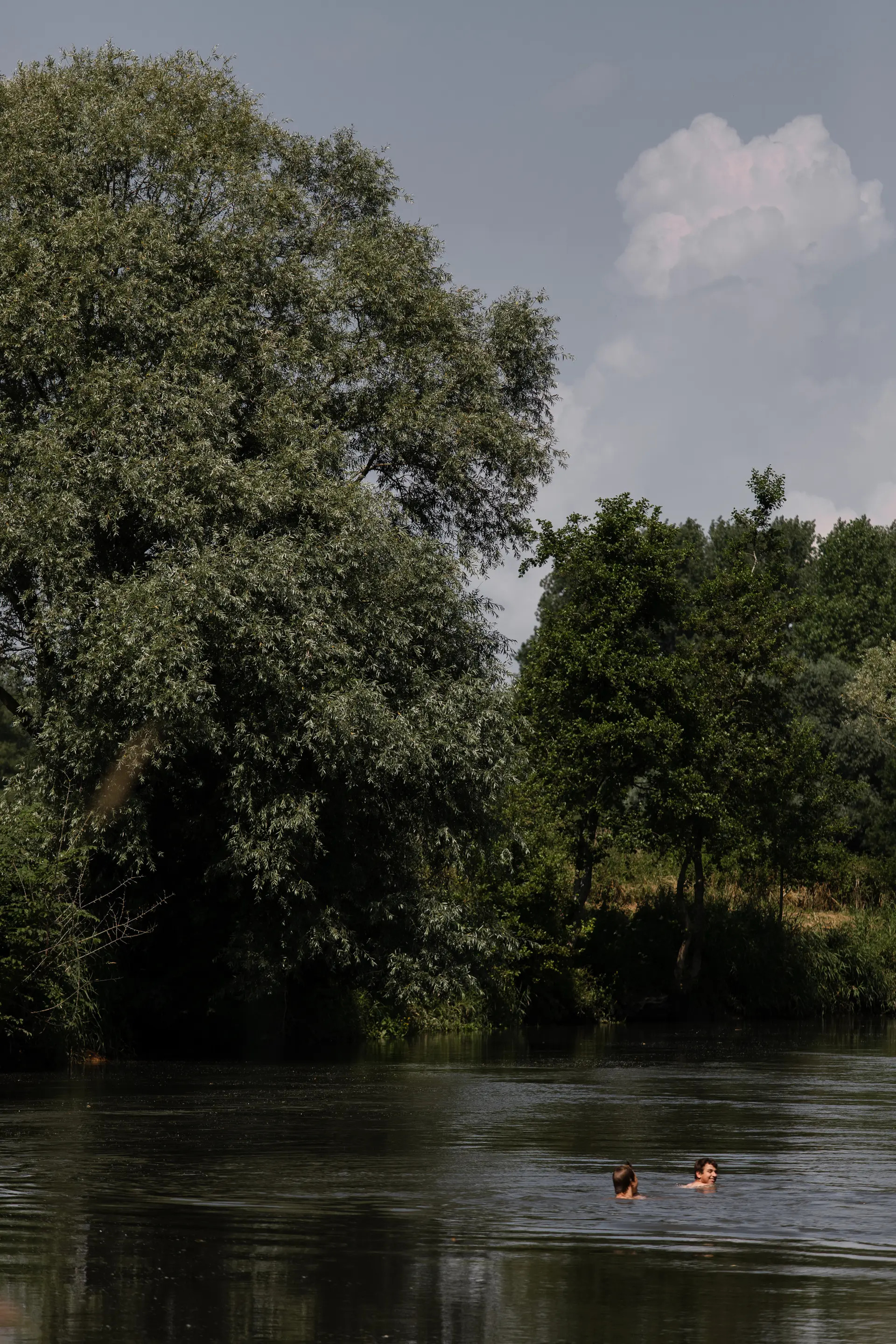 La Grenouillère view 5