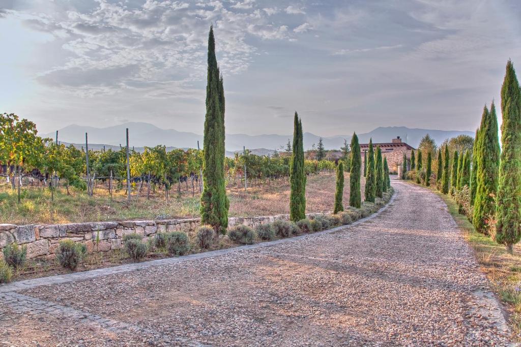 Zornitza Family Estate