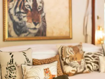 Suján Sher Bagh view 4