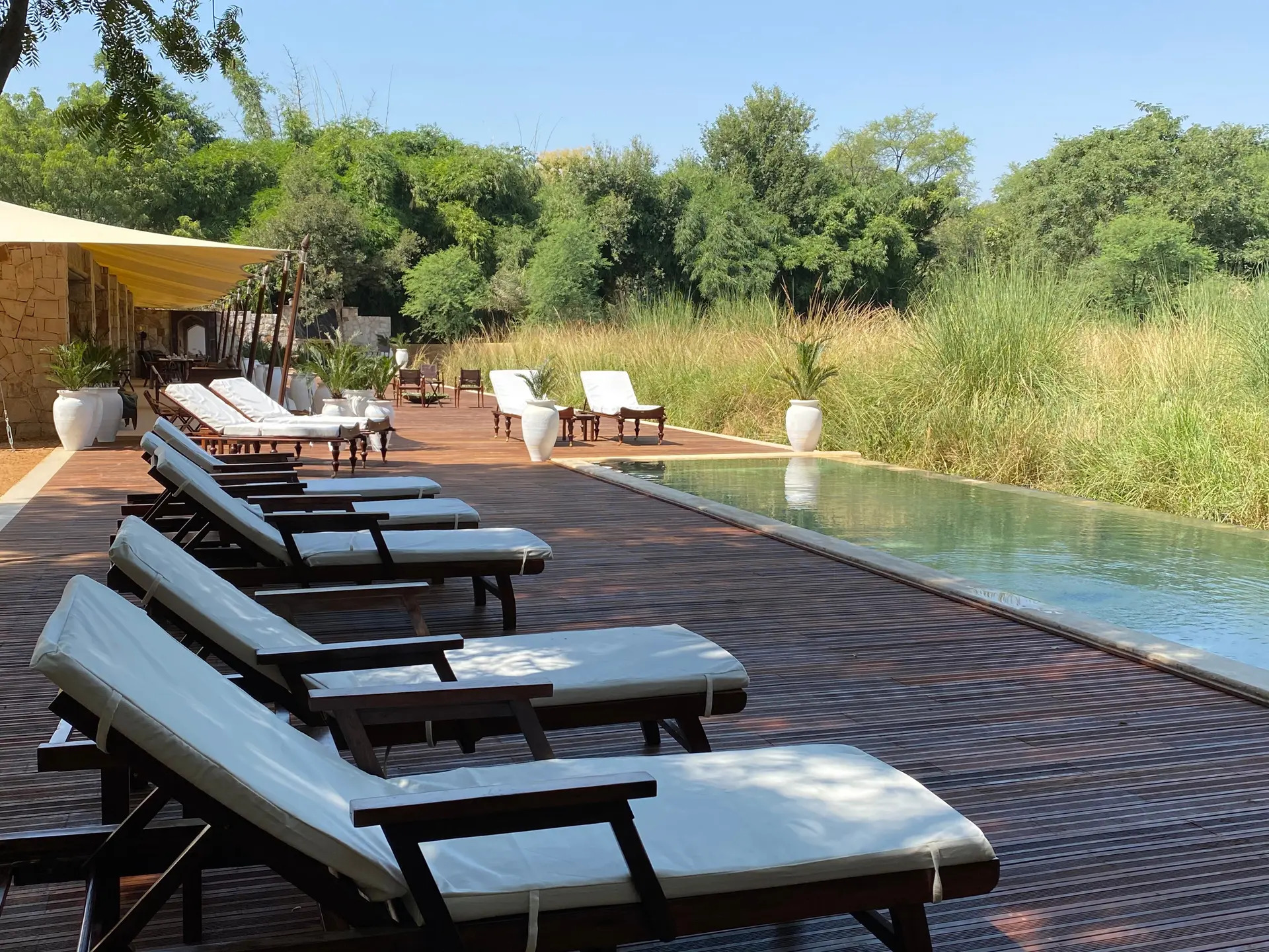 Suján Sher Bagh view 5