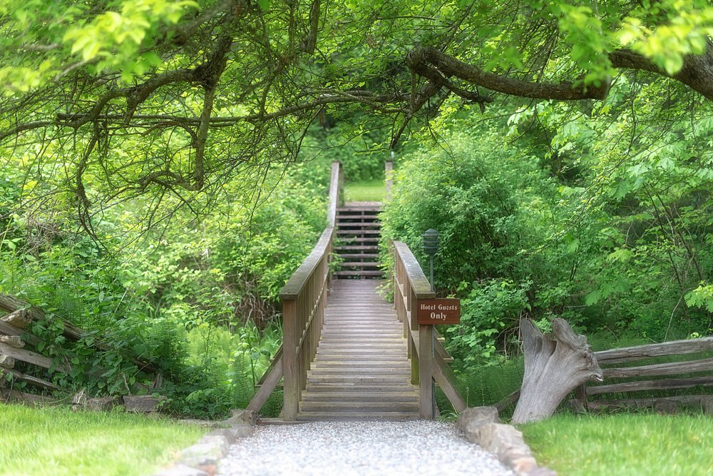 Hastings House Country House Hotel view 2