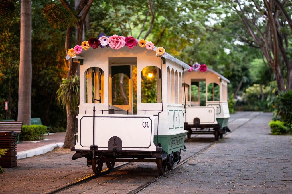 Hotel del Parque view 6