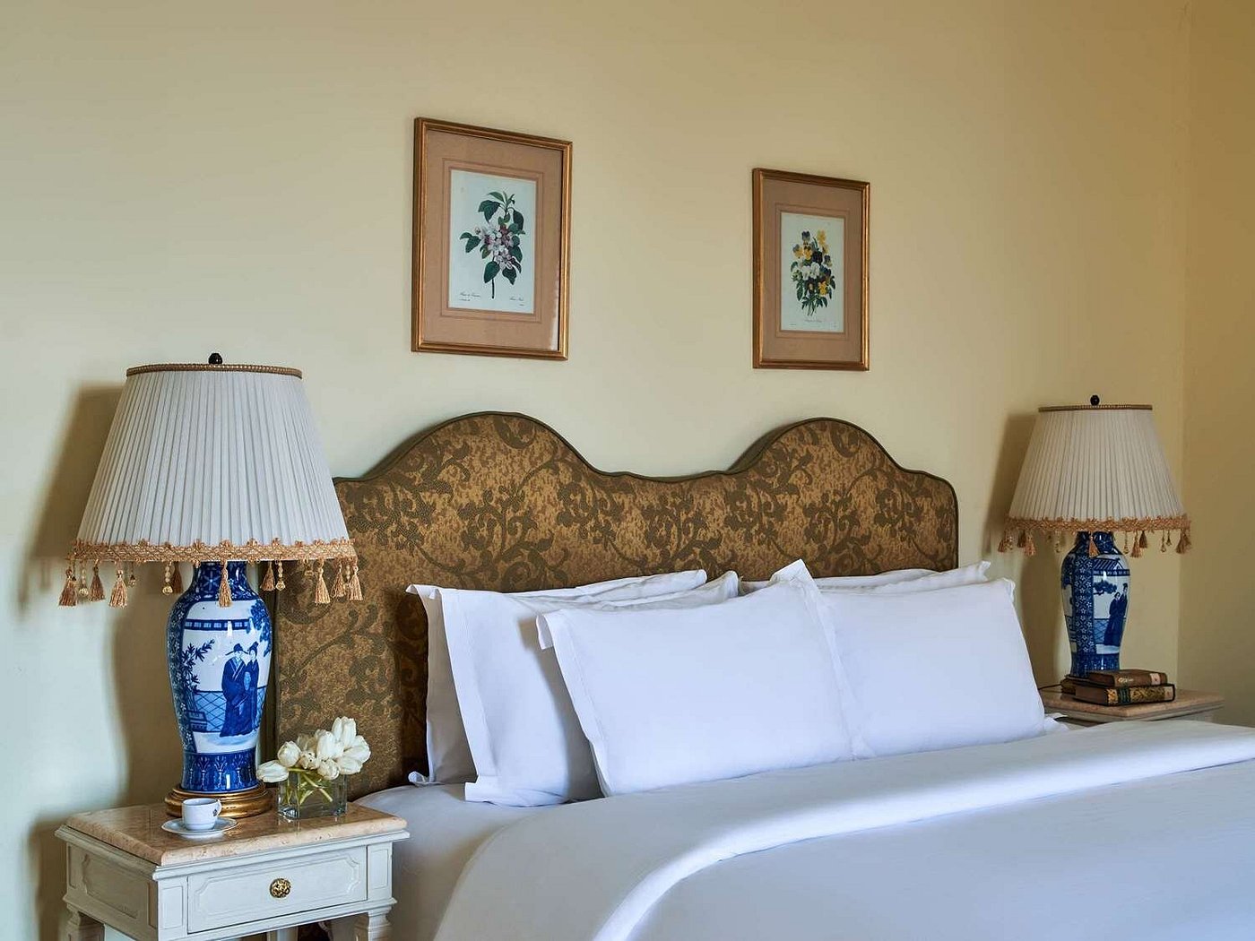 Sofitel Winter Palace Luxor view 3