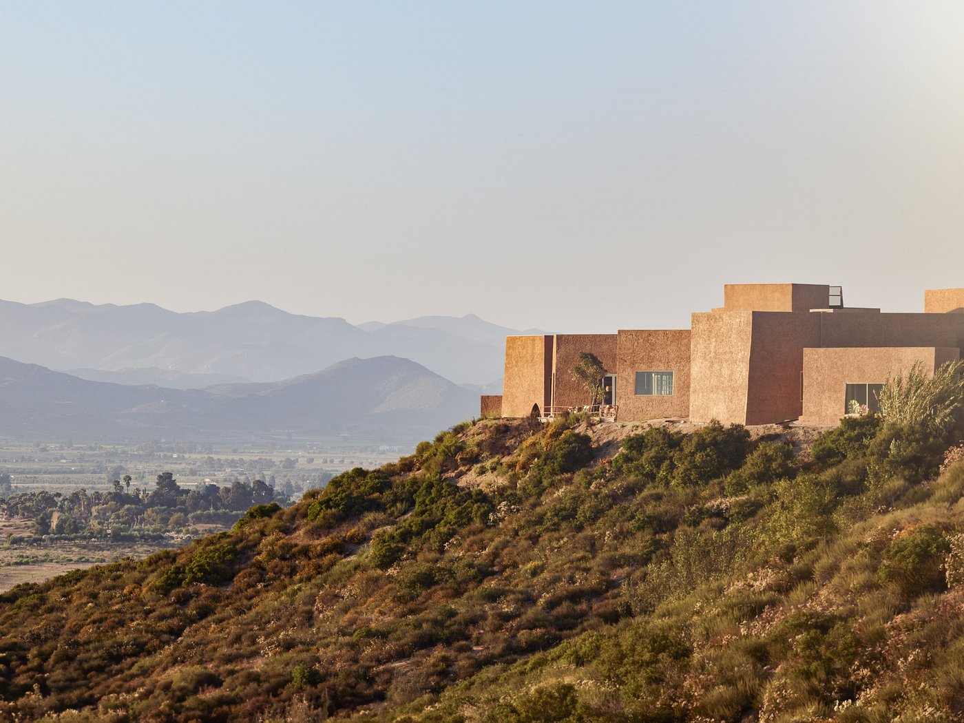 Banyan Tree Veya Valle de Guadalupe view 2
