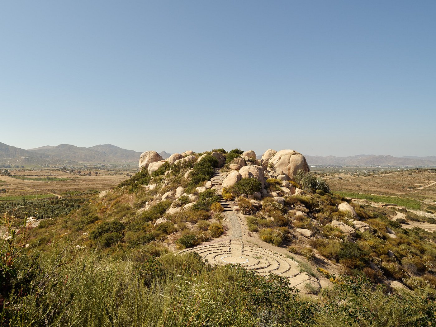 Banyan Tree Veya Valle de Guadalupe view 6